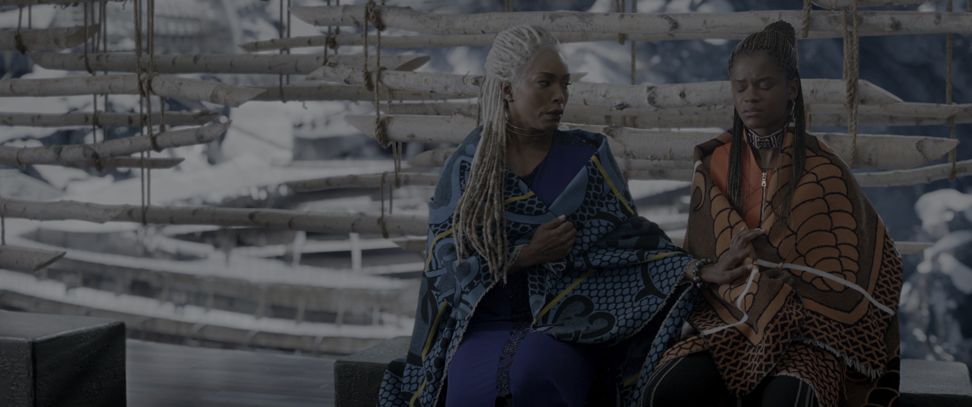 Black Panther (2018), wide, 2.39:1 — film still