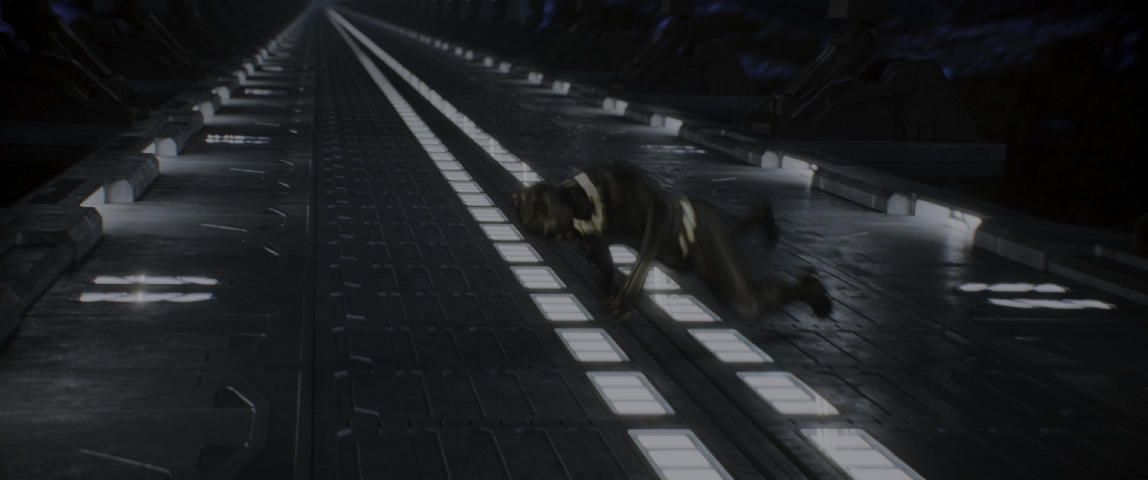 Black Panther (2018), wide, 2.39:1 — film still