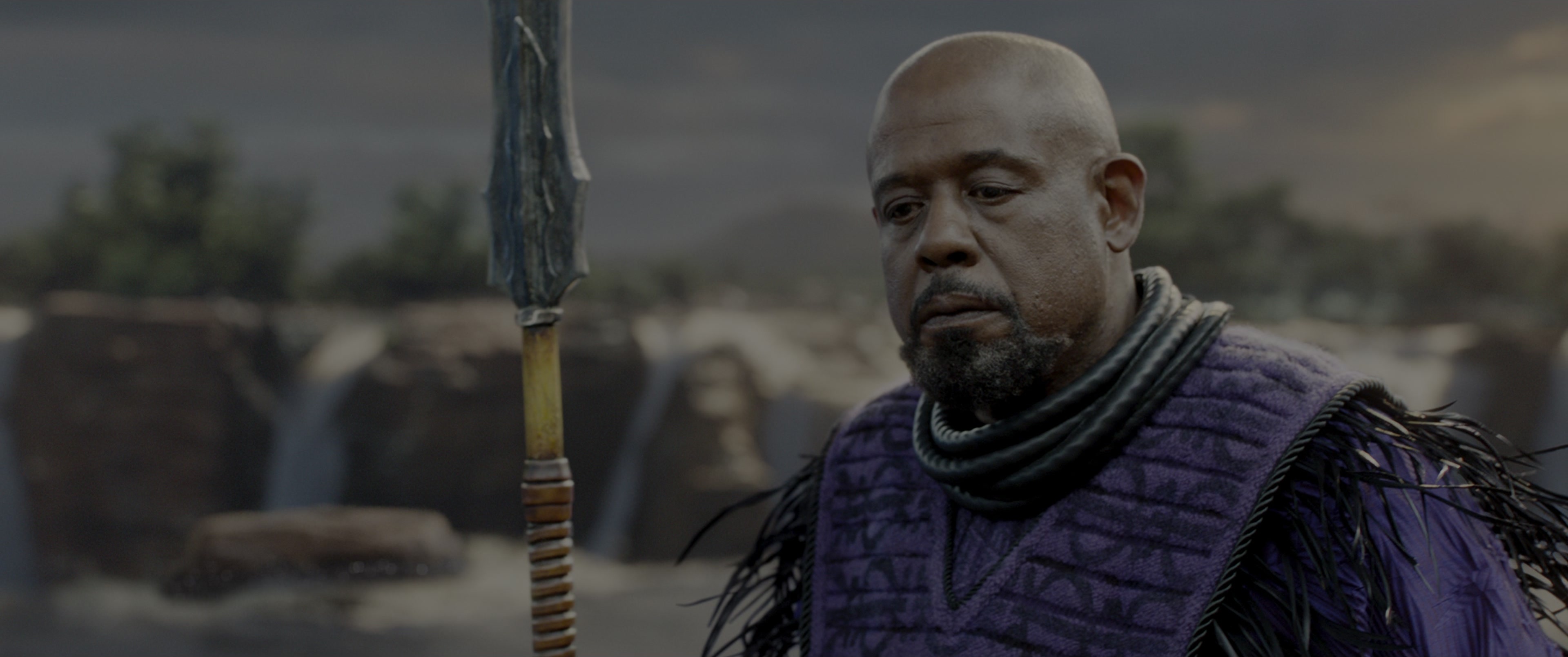Black Panther (2018), medium, 2.39:1 — film still