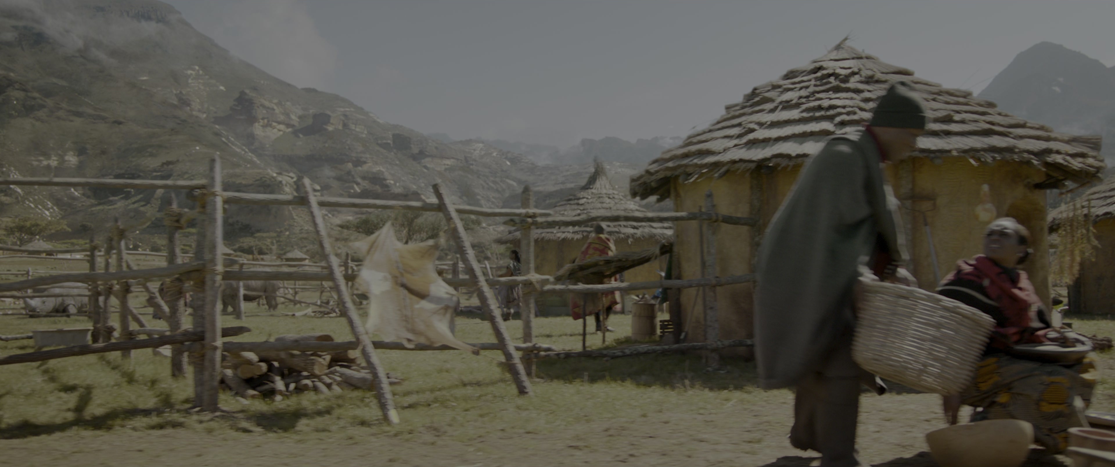 Black Panther (2018), wide, 2.39:1 — film still