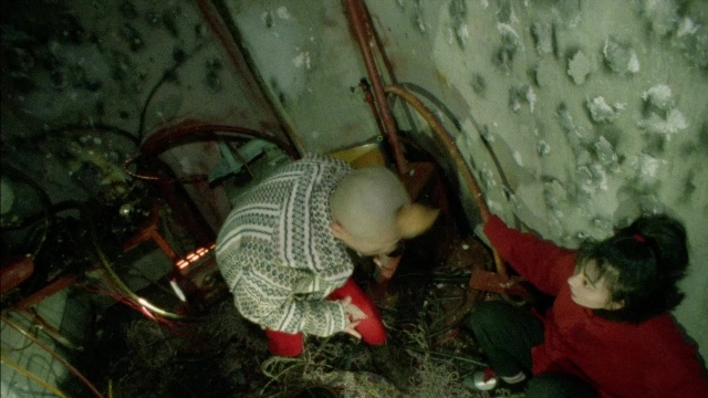 Wide shot frame from 964 Pinocchio — room, shirt, bird