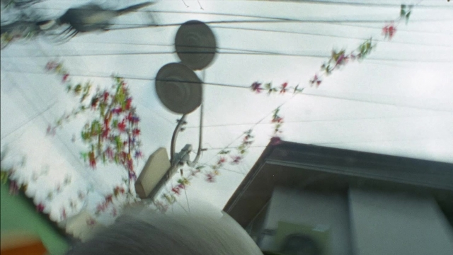 964 Pinocchio — film still