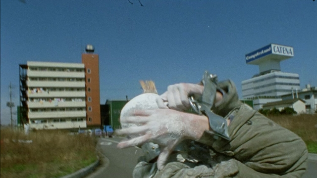 964 Pinocchio — film still