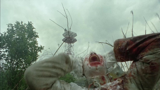 Frame from 964 Pinocchio — shirt, face, bird