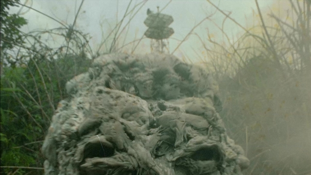 Wide shot frame from 964 Pinocchio — bird, forest, statue sculpture