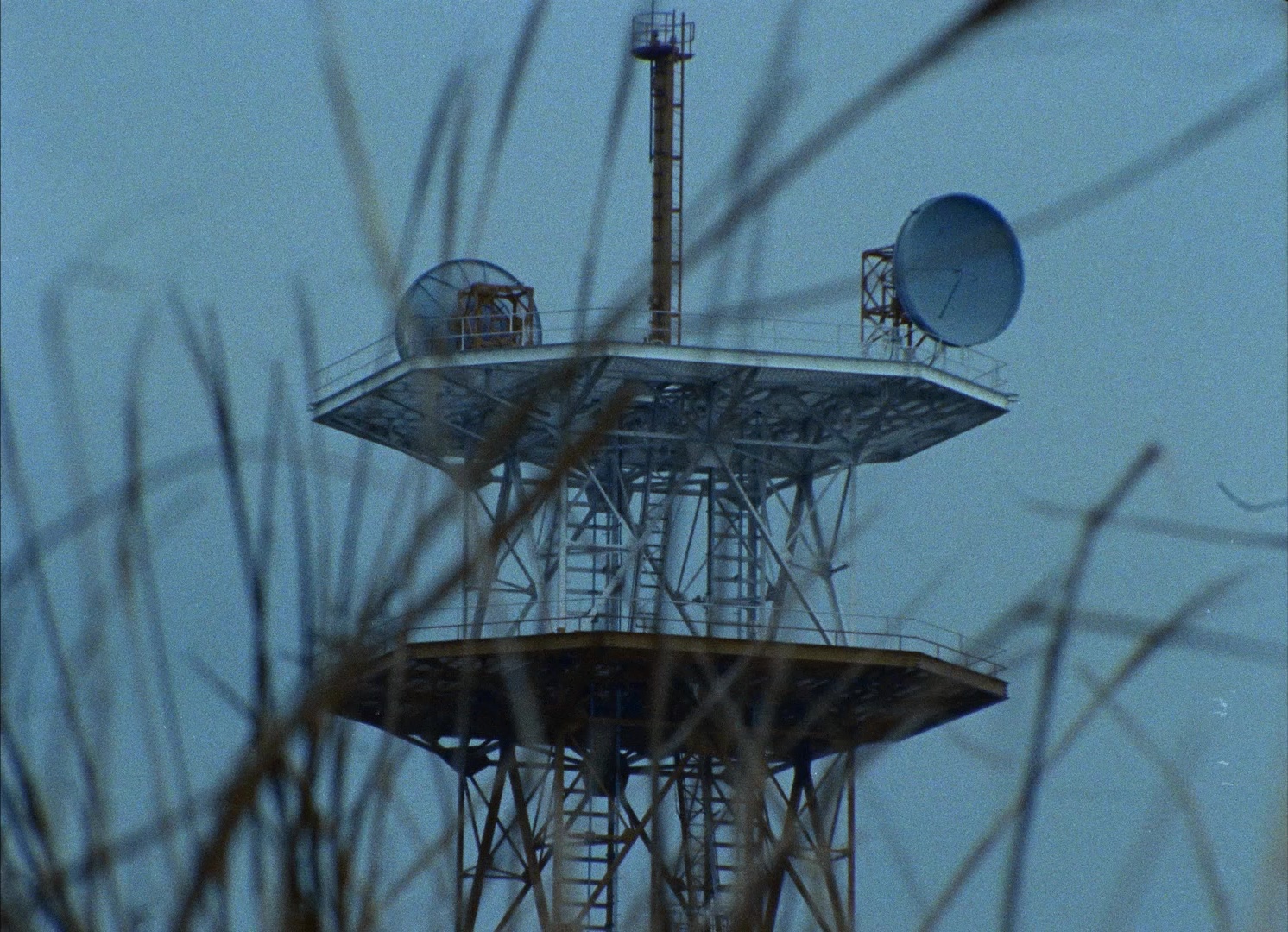 964 Pinocchio (1991), wide, 1.38:1 — film still