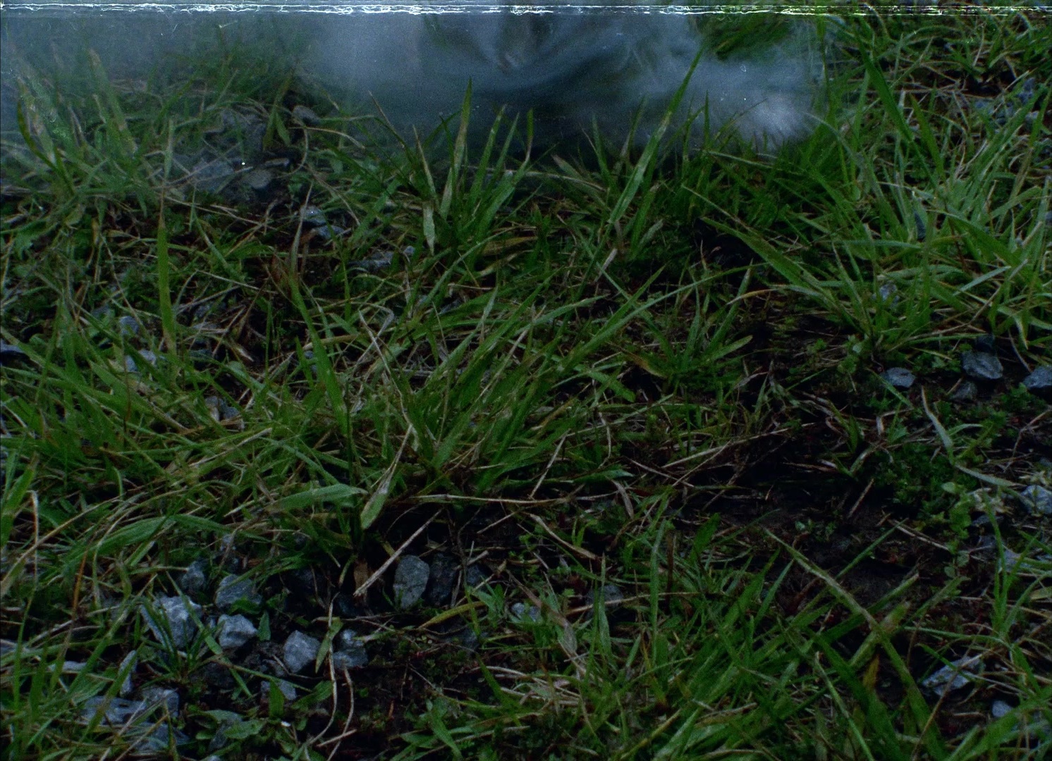 964 Pinocchio (1991), wide, 1.38:1 — film still