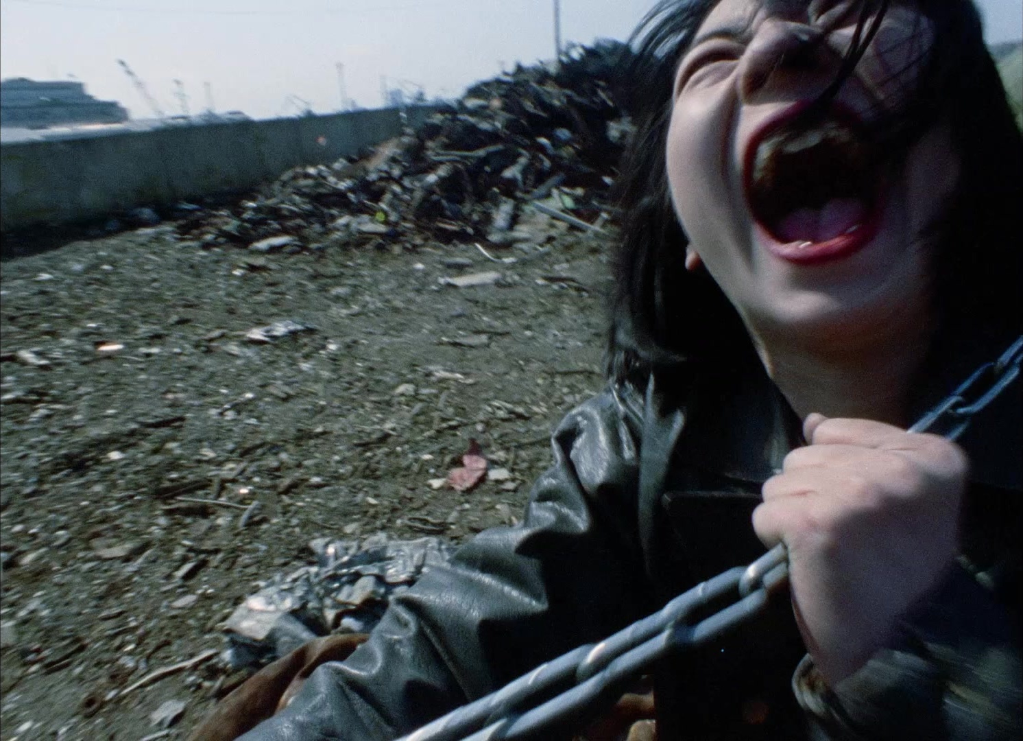 964 Pinocchio (1991), wide, 1.38:1 — film still