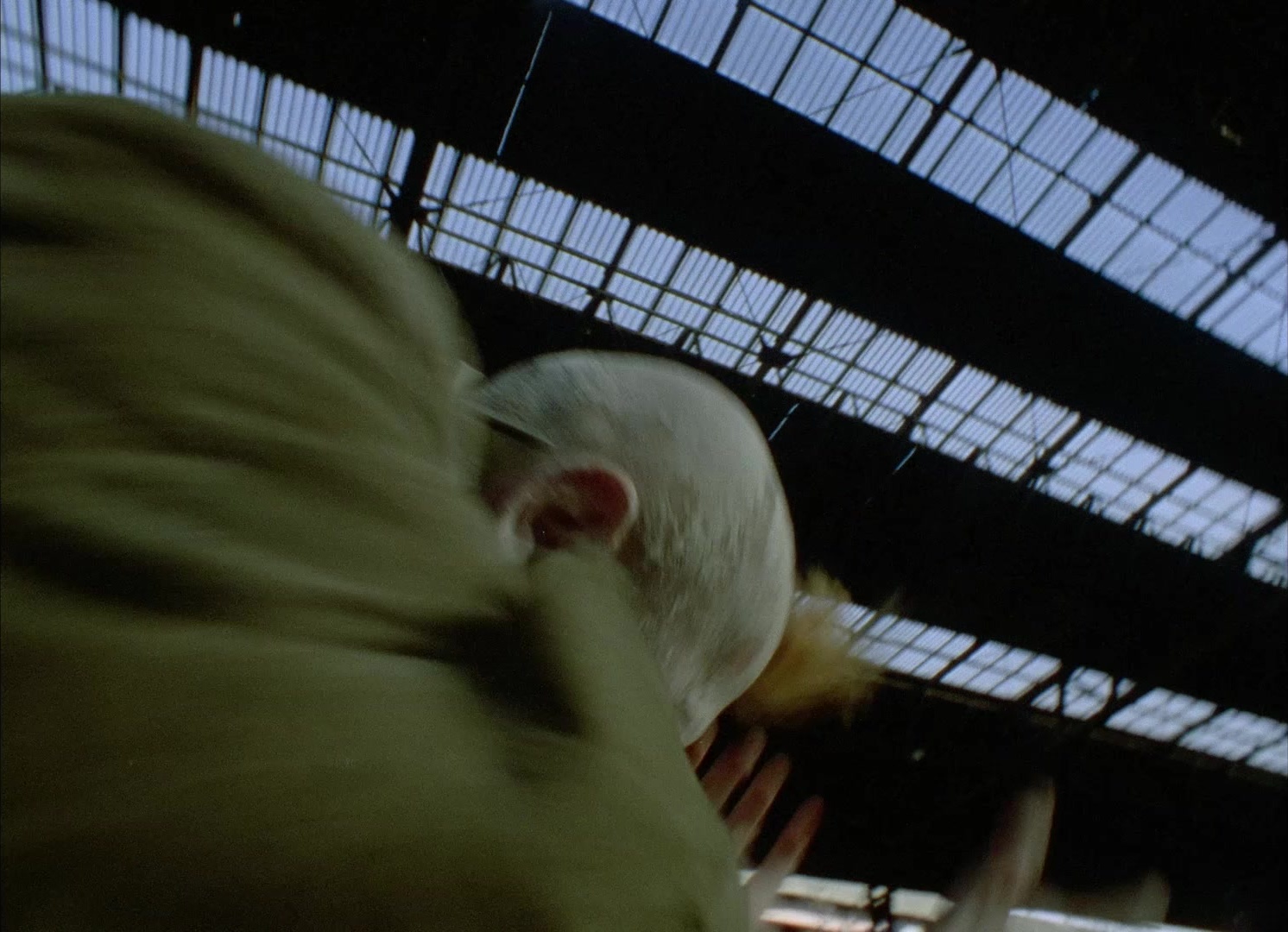 964 Pinocchio (1991), wide, 1.38:1 — film still