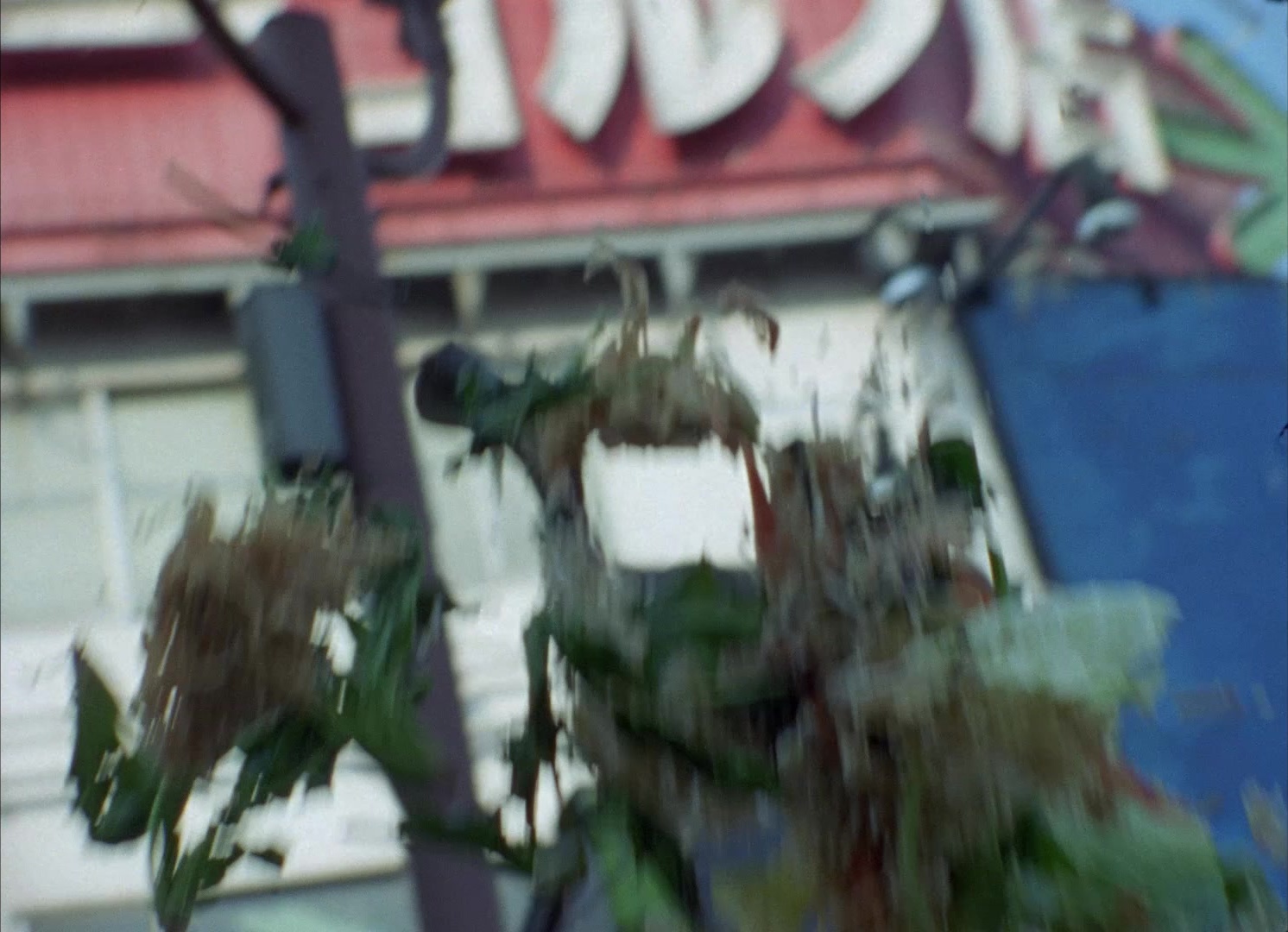 964 Pinocchio (1991), wide, 1.38:1 — film still