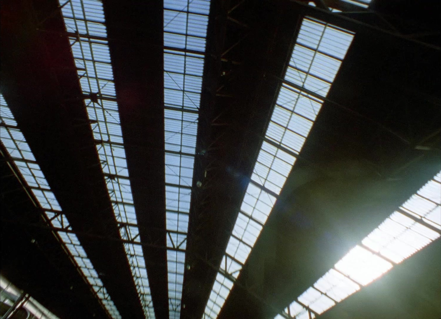 964 Pinocchio (1991), wide, 1.38:1 — film still