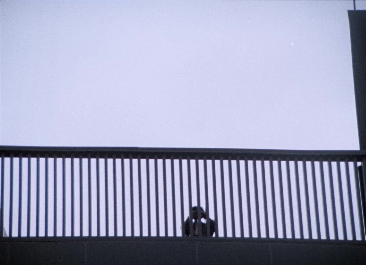 964 Pinocchio (1991), unknown, 1.38:1 — film still