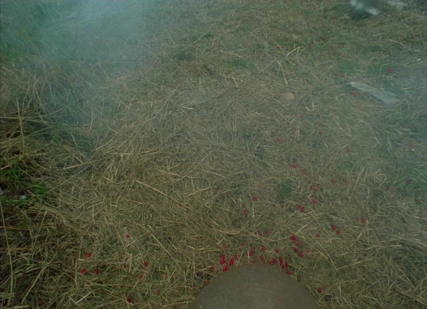 964 Pinocchio (1991), unknown, 1.38:1 — film still