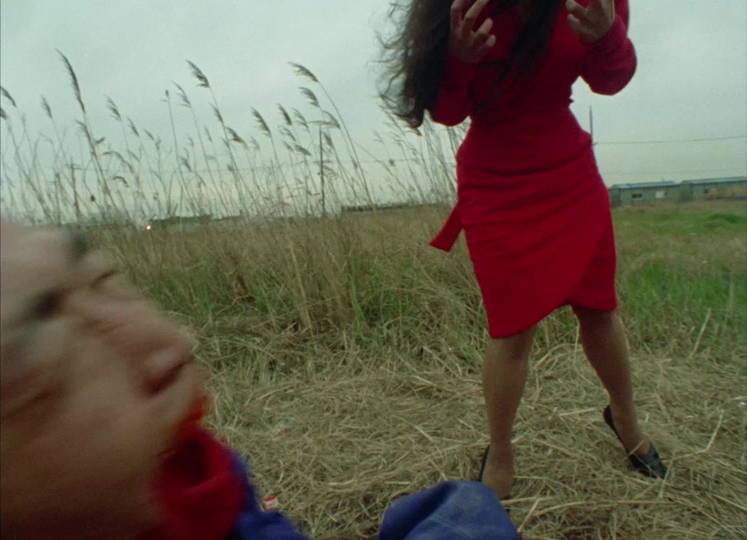 964 Pinocchio (1991), wide, 1.38:1 — film still