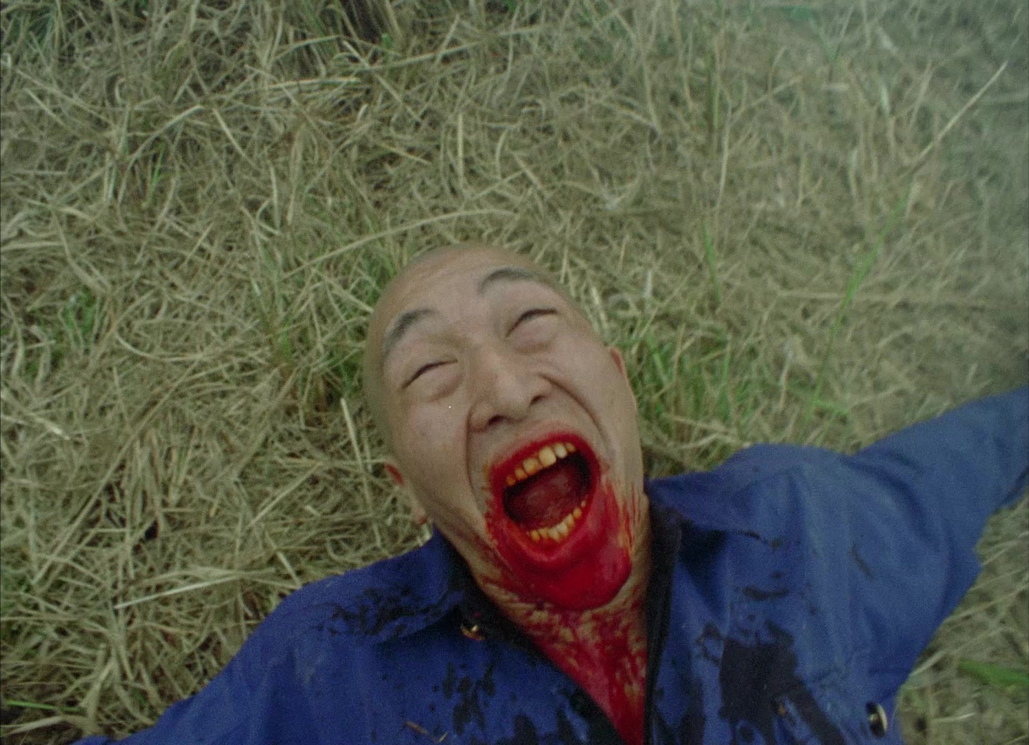 964 Pinocchio (1991), wide, 1.38:1 — film still