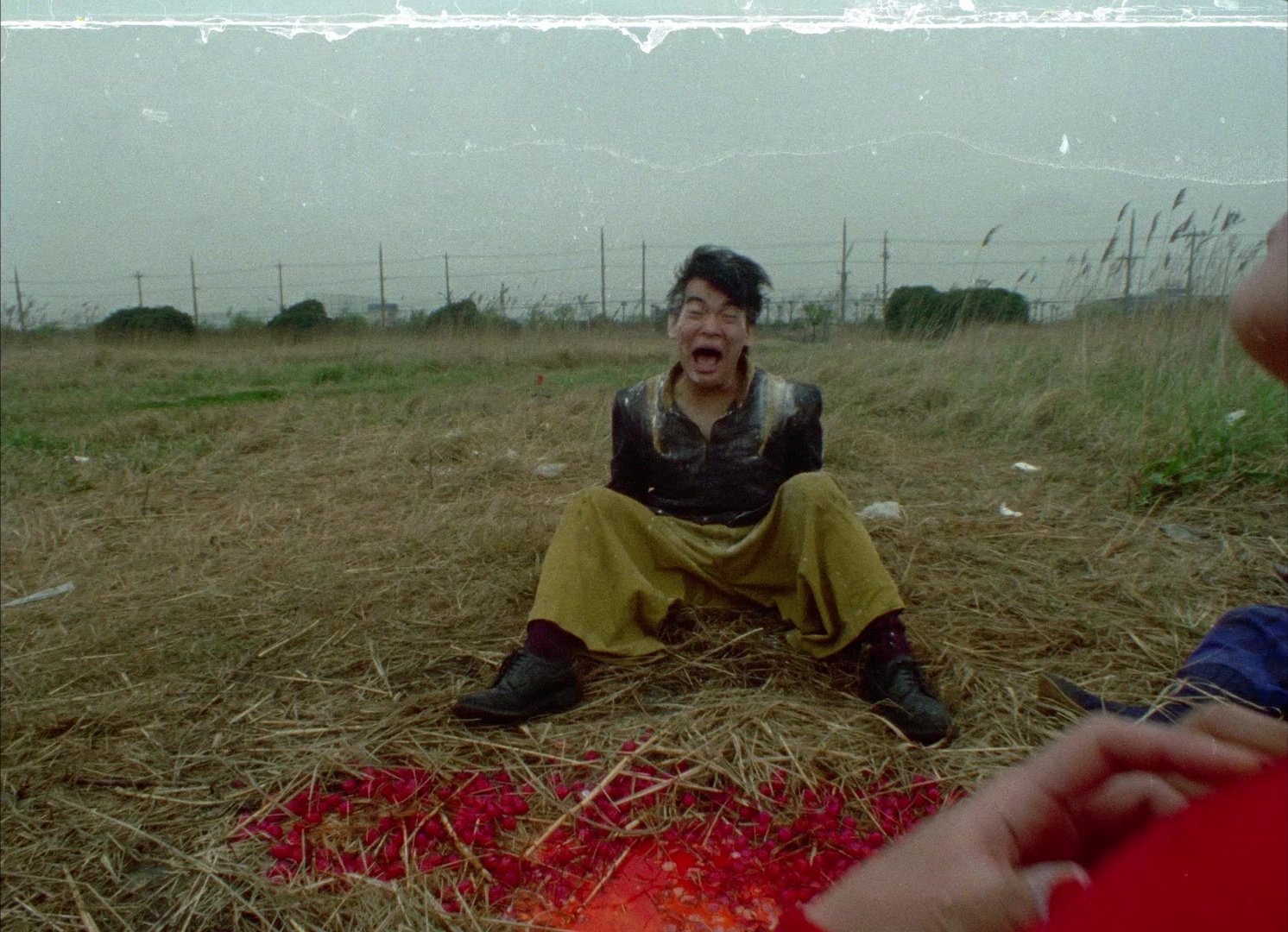 964 Pinocchio (1991), wide, 1.38:1 — film still