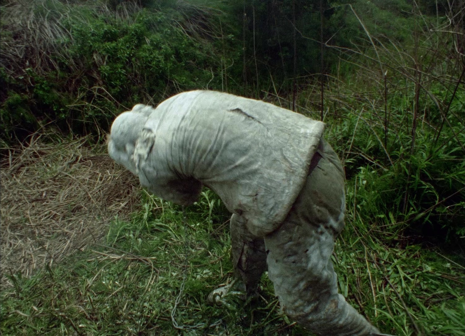 964 Pinocchio (1991), wide, 1.38:1 — film still