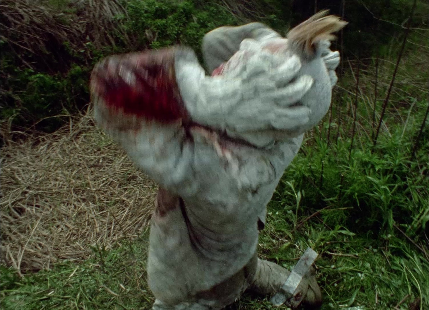 964 Pinocchio (1991), wide, 1.38:1 — film still