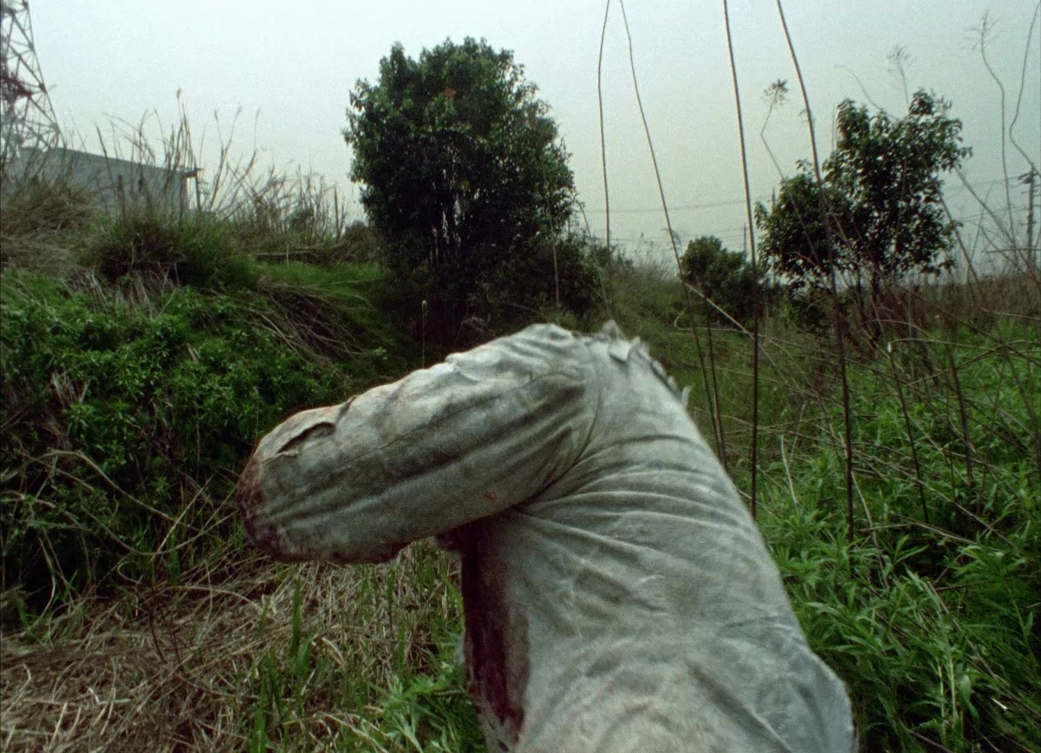 964 Pinocchio (1991), unknown, 1.38:1 — film still