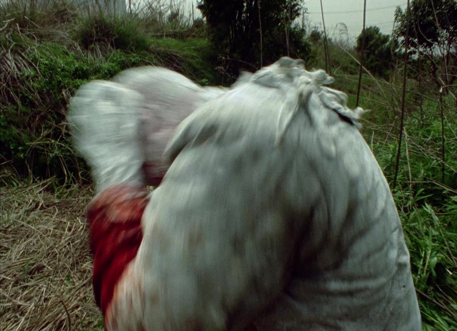 964 Pinocchio (1991), unknown, 1.38:1 — film still