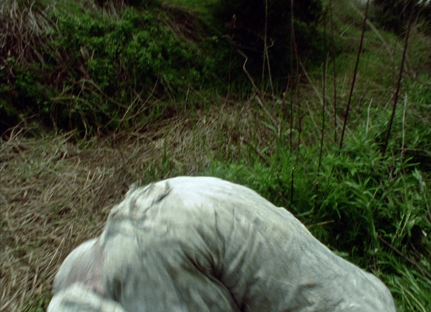 964 Pinocchio (1991), wide, 1.38:1 — film still