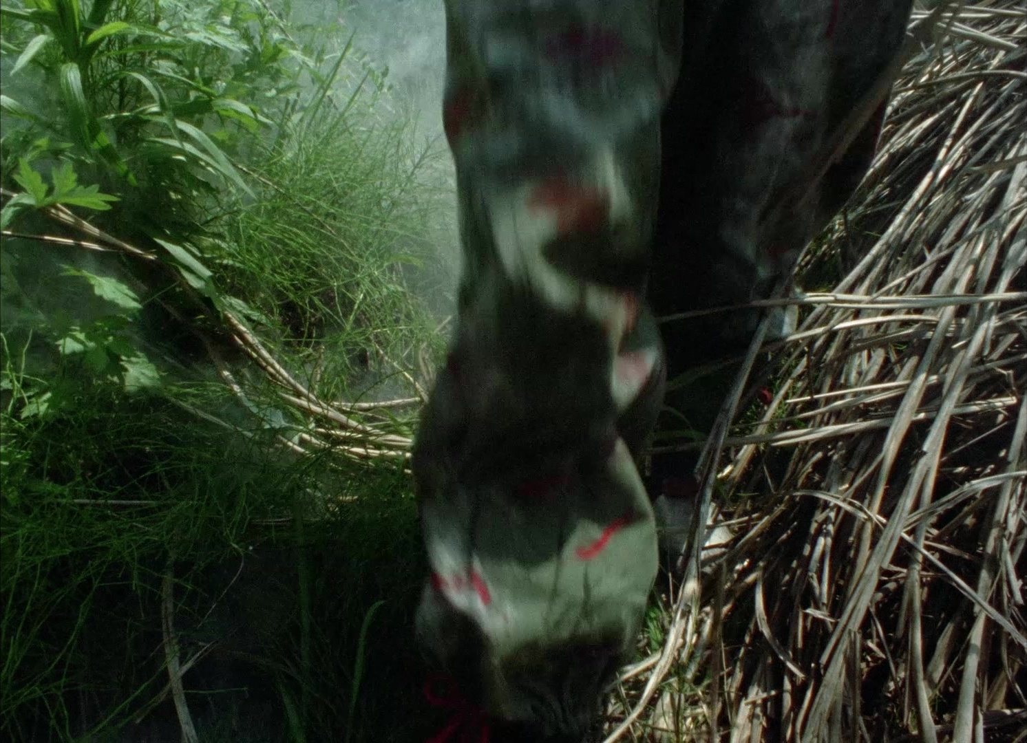 964 Pinocchio (1991), wide, 1.38:1 — film still