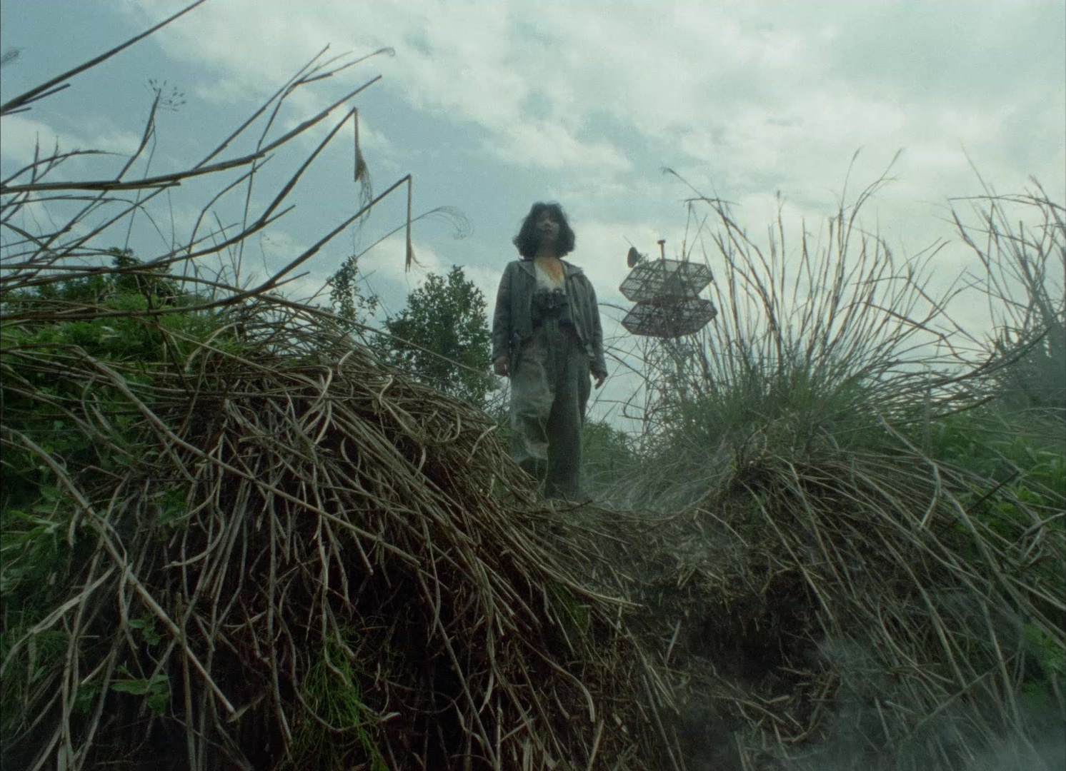 964 Pinocchio (1991), wide, 1.38:1 — film still