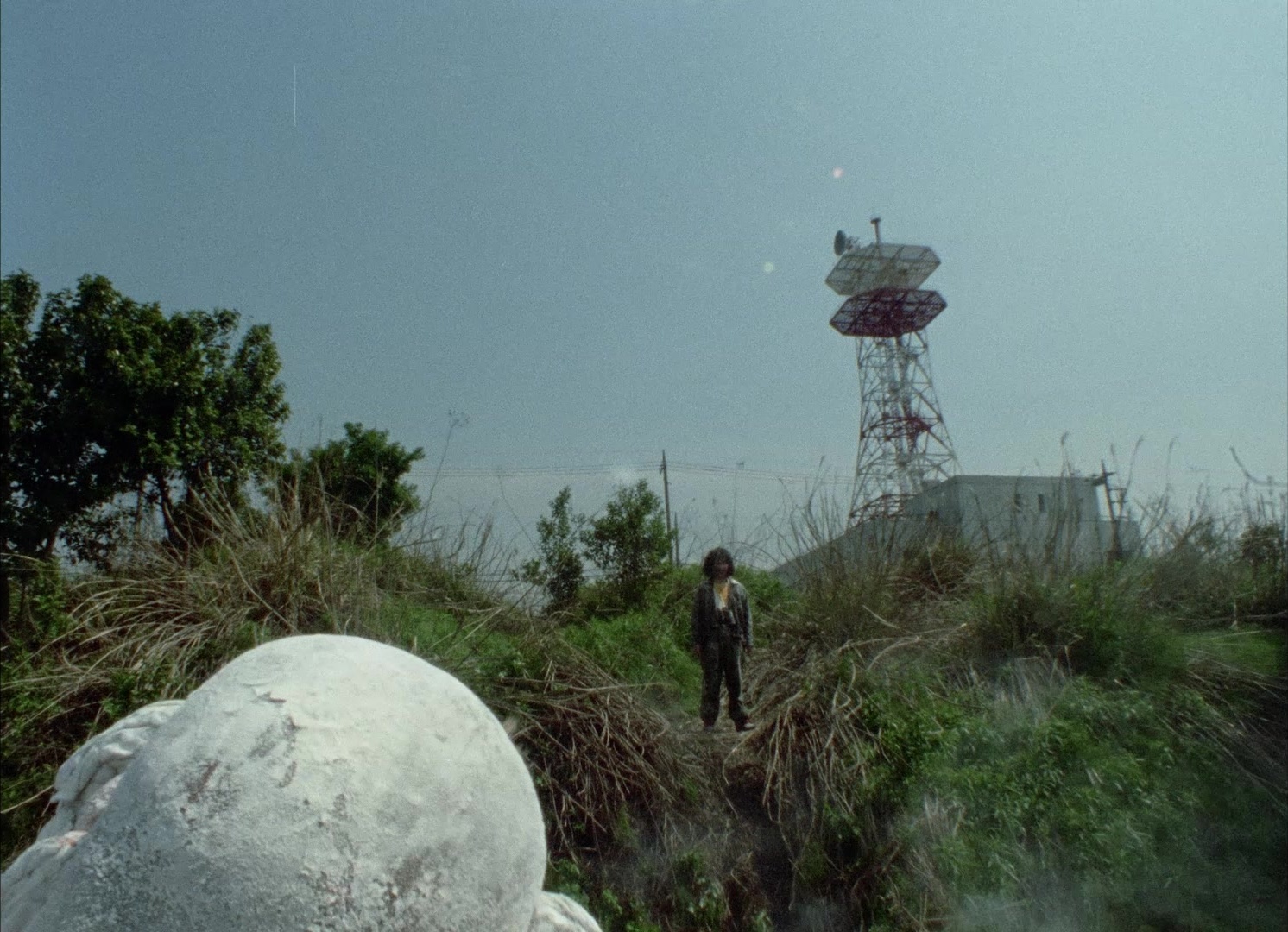 964 Pinocchio (1991), wide, 1.38:1 — film still