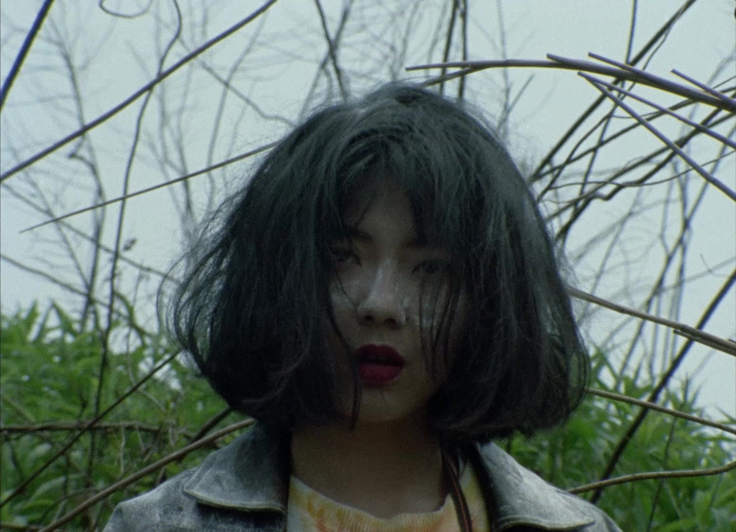 964 Pinocchio (1991), wide, 1.38:1 — film still