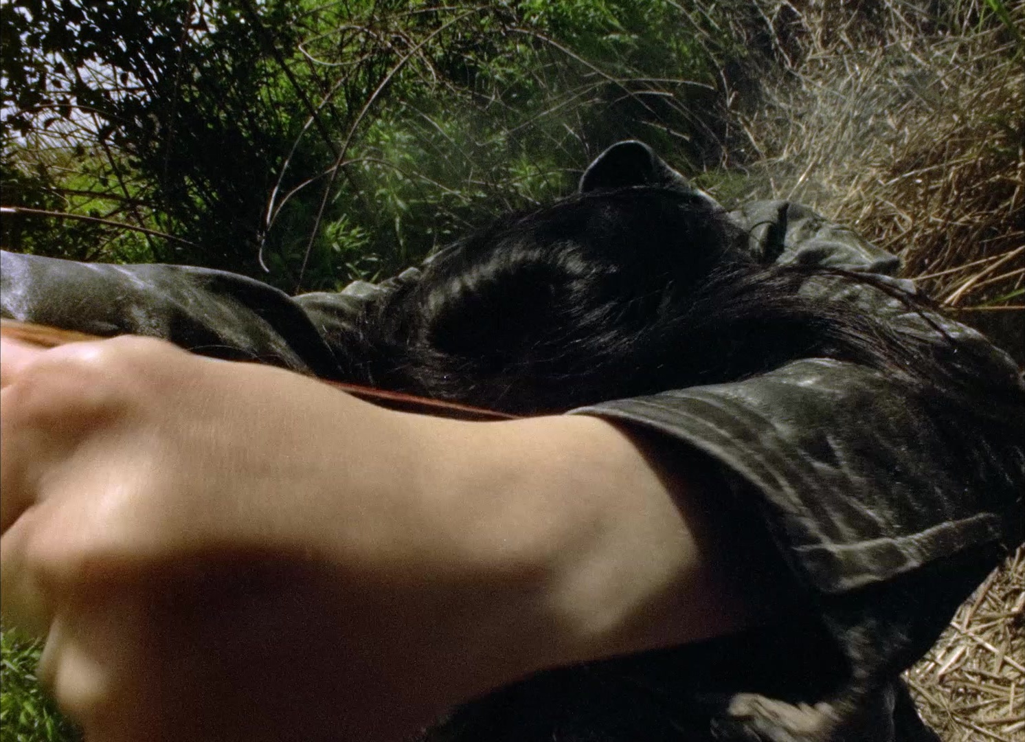 964 Pinocchio (1991), wide, 1.38:1 — film still