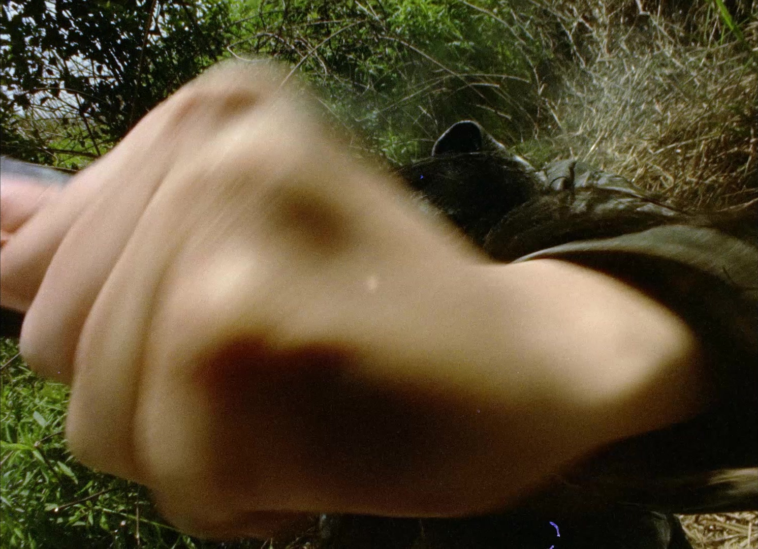 964 Pinocchio (1991), wide, 1.38:1 — film still