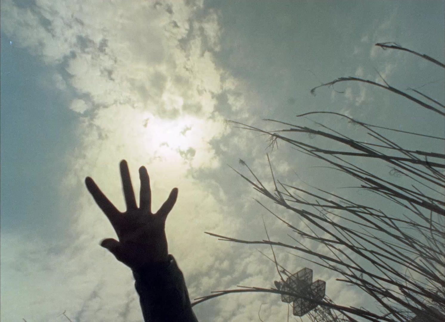 964 Pinocchio (1991), unknown, 1.38:1 — film still