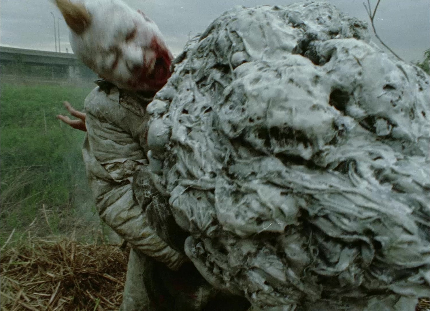 964 Pinocchio (1991), wide, 1.38:1 — film still