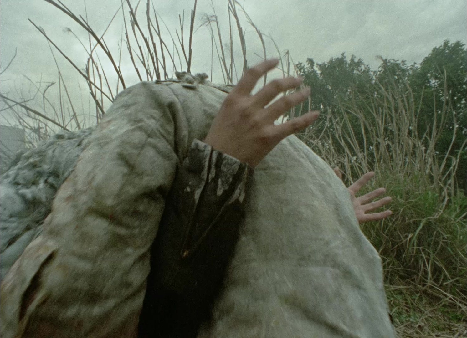 964 Pinocchio (1991), wide, 1.38:1 — film still