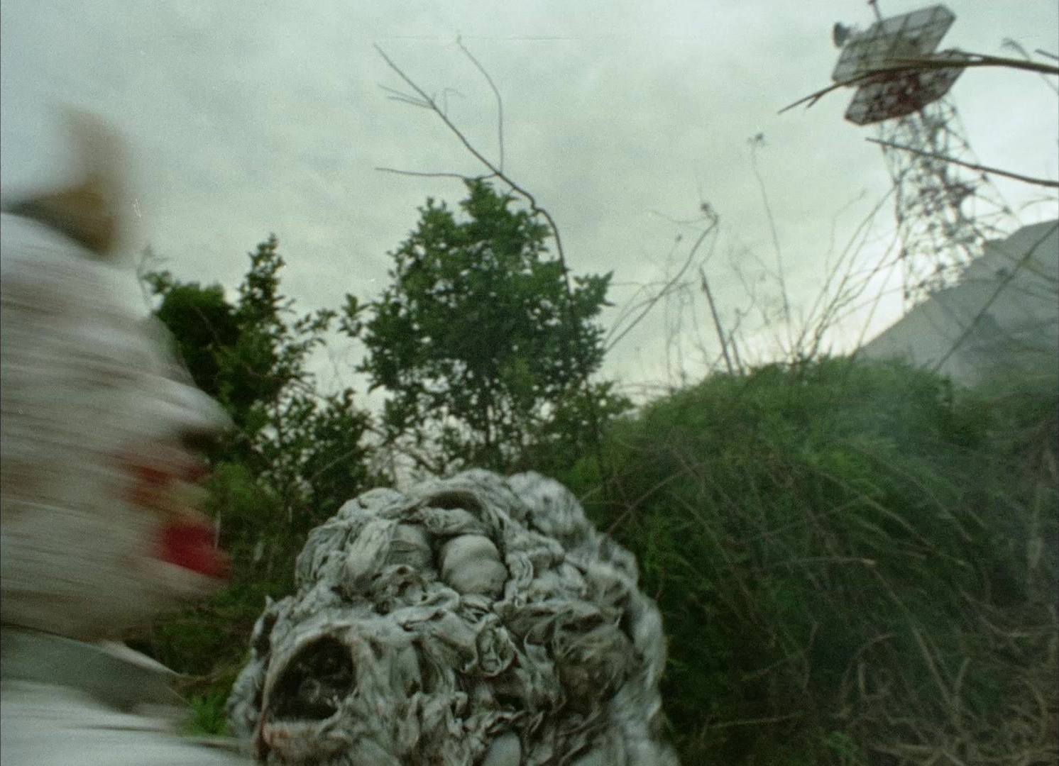 964 Pinocchio (1991), wide, 1.38:1 — film still