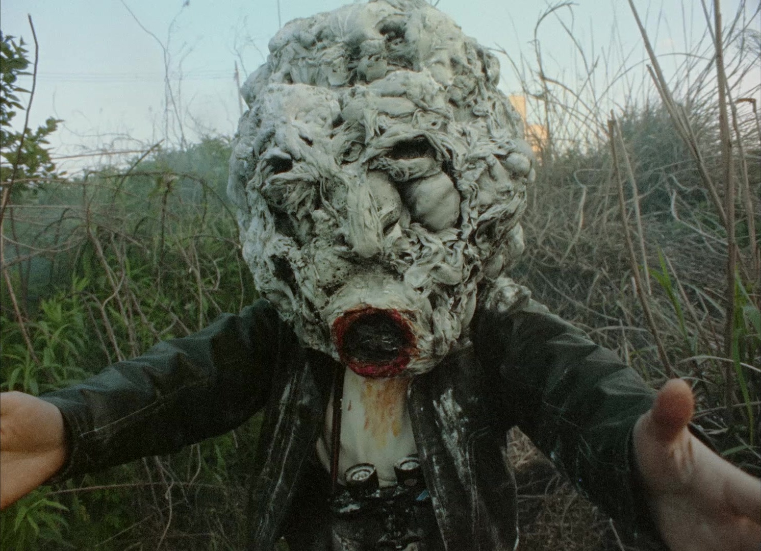964 Pinocchio (1991), wide, 1.38:1 — film still