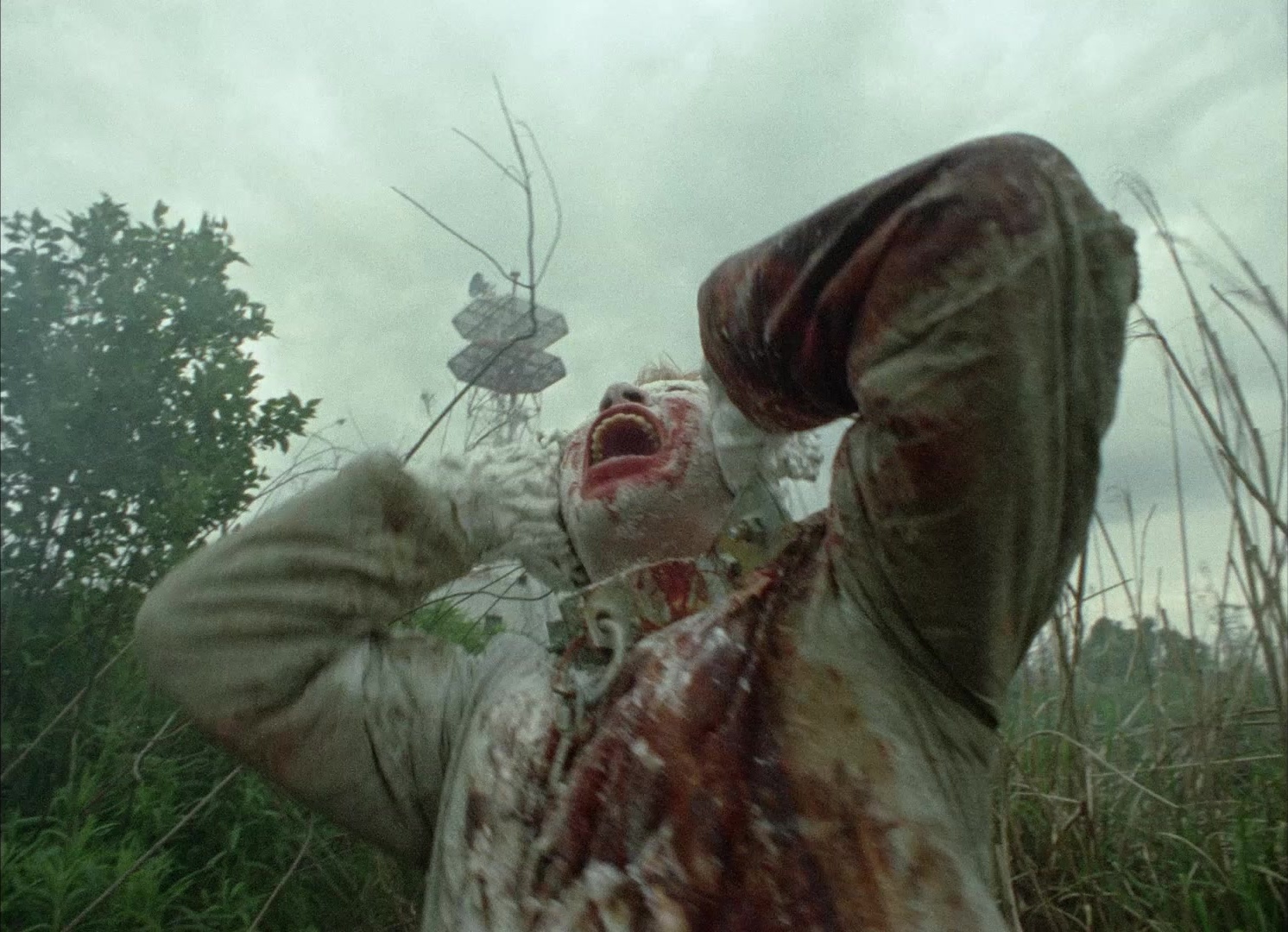 964 Pinocchio (1991), wide, 1.38:1 — film still
