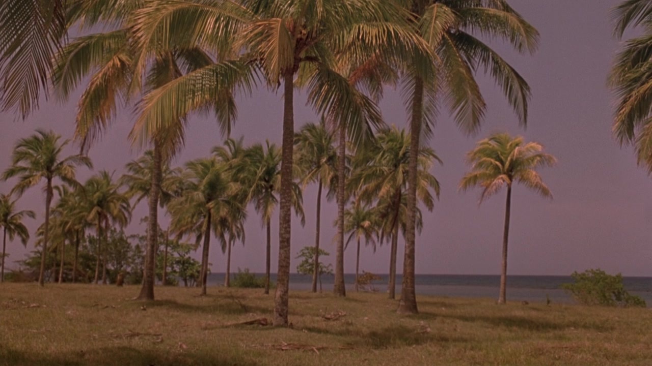 Cool Runnings (1993), unknown, 1.78:1 — film still