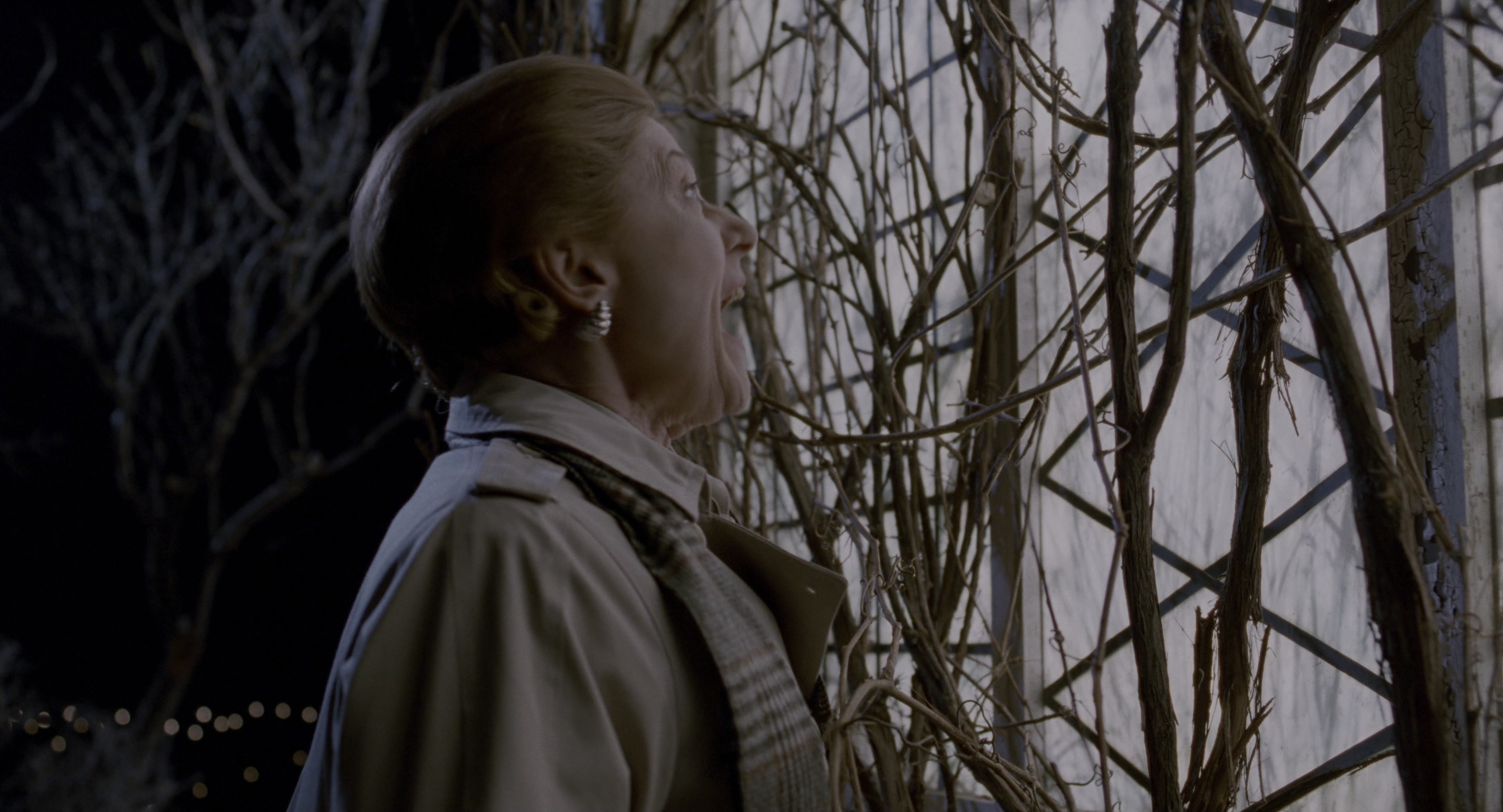 The Addams Family (1991), wide, 1.85:1 — film still