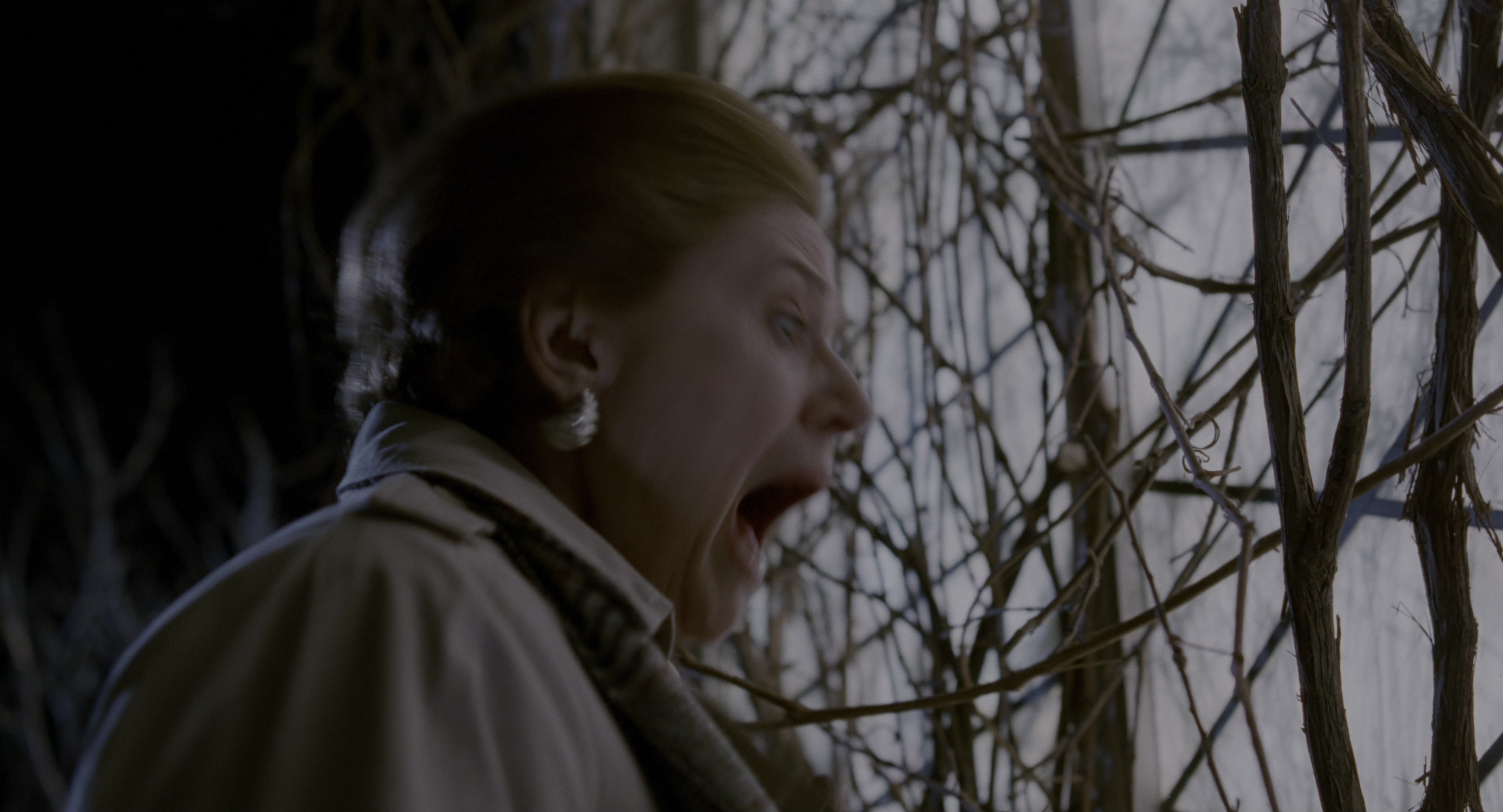 The Addams Family (1991), wide, 1.85:1 — film still