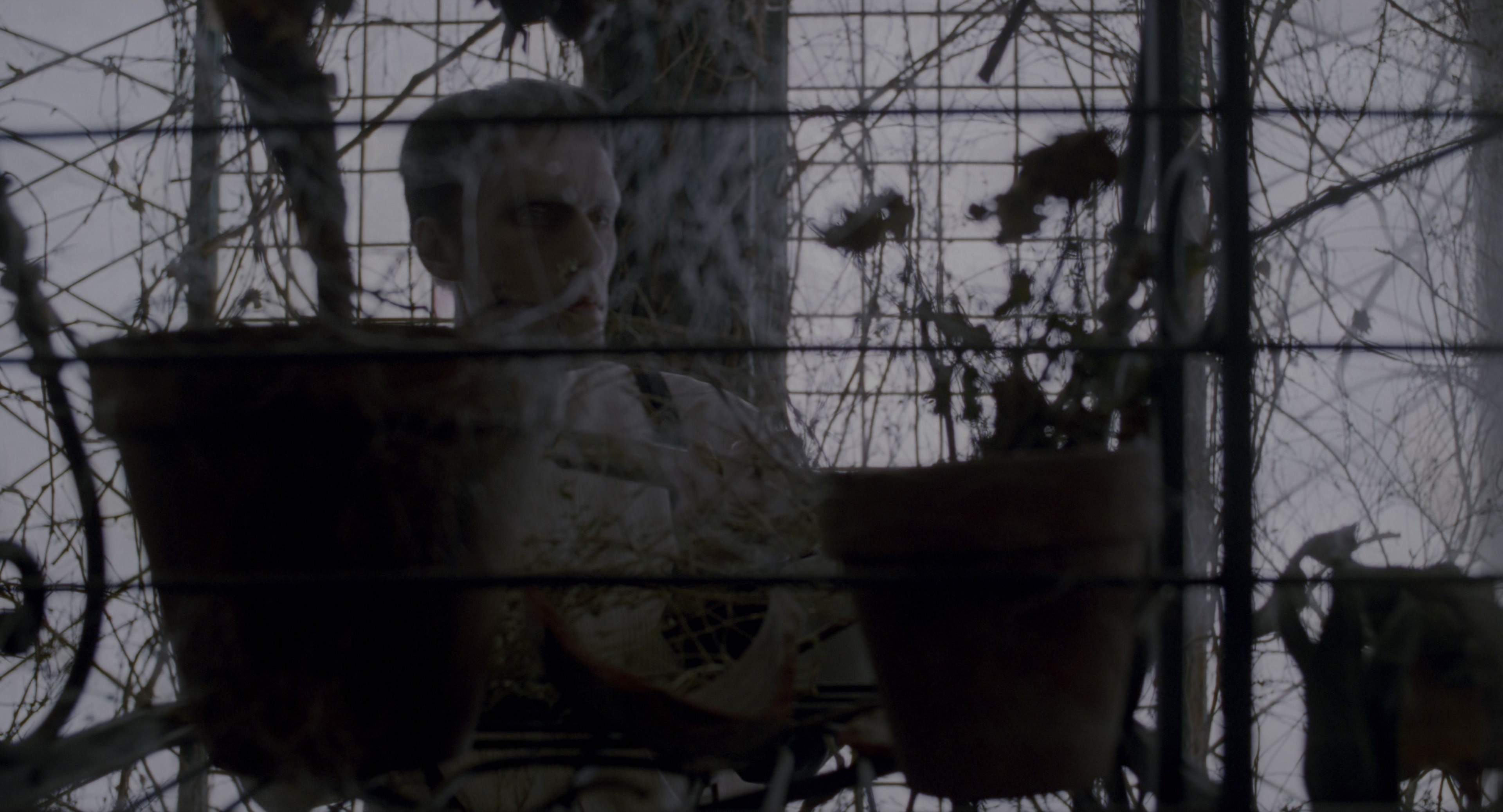 The Addams Family (1991), wide, 1.85:1 — film still