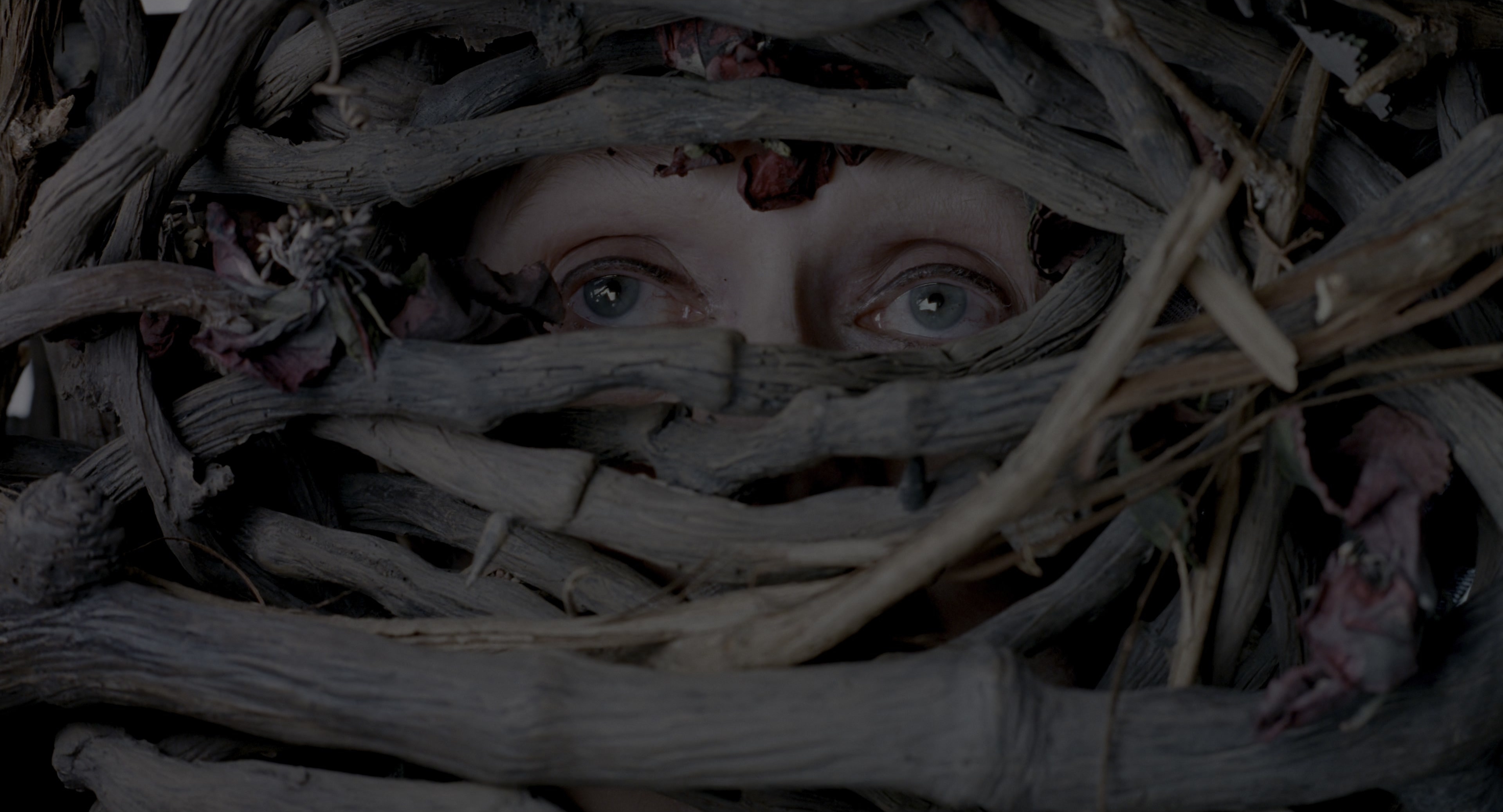 The Addams Family (1991), wide, 1.85:1 — film still