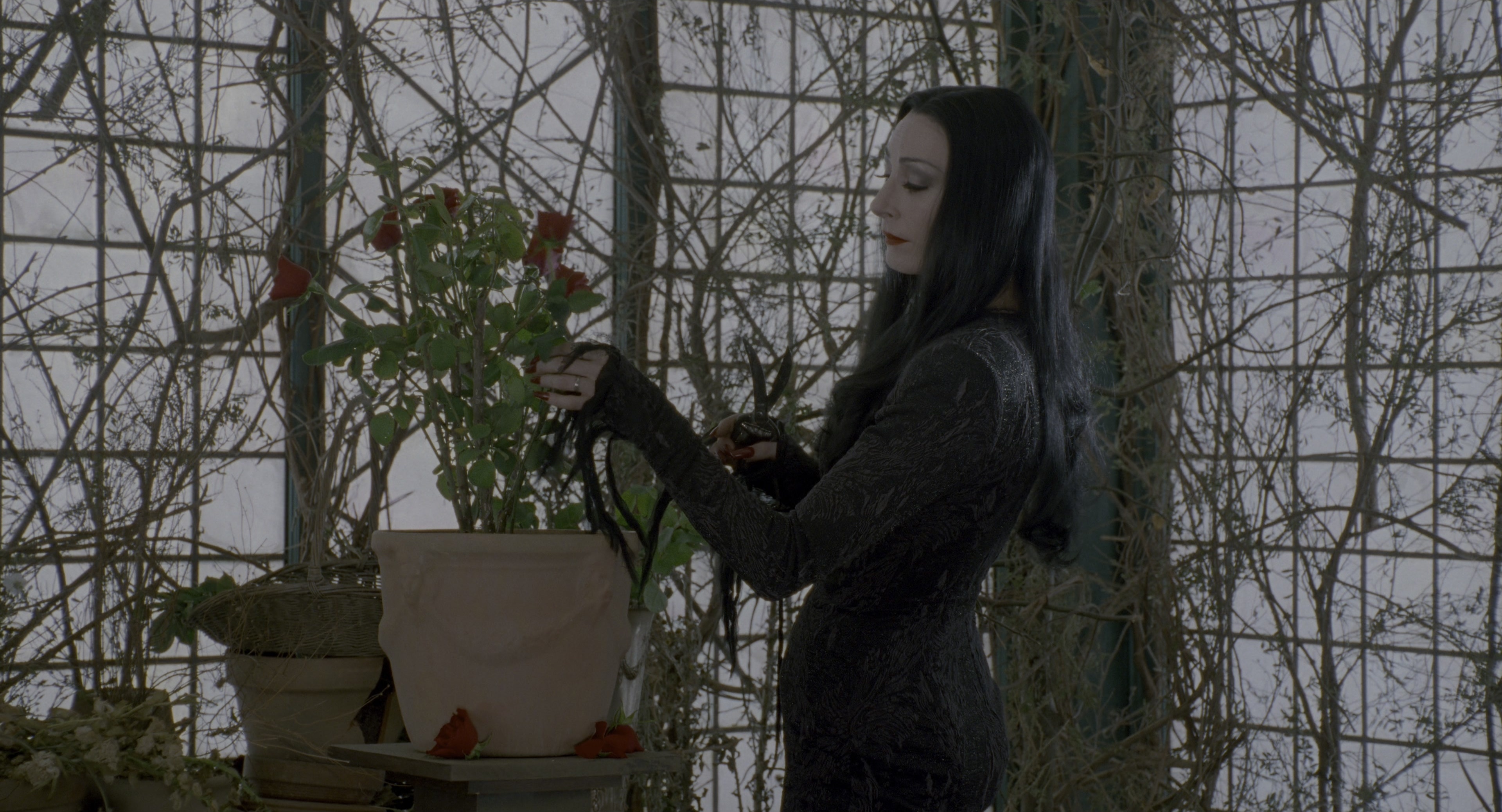 The Addams Family (1991), wide, 1.85:1 — film still