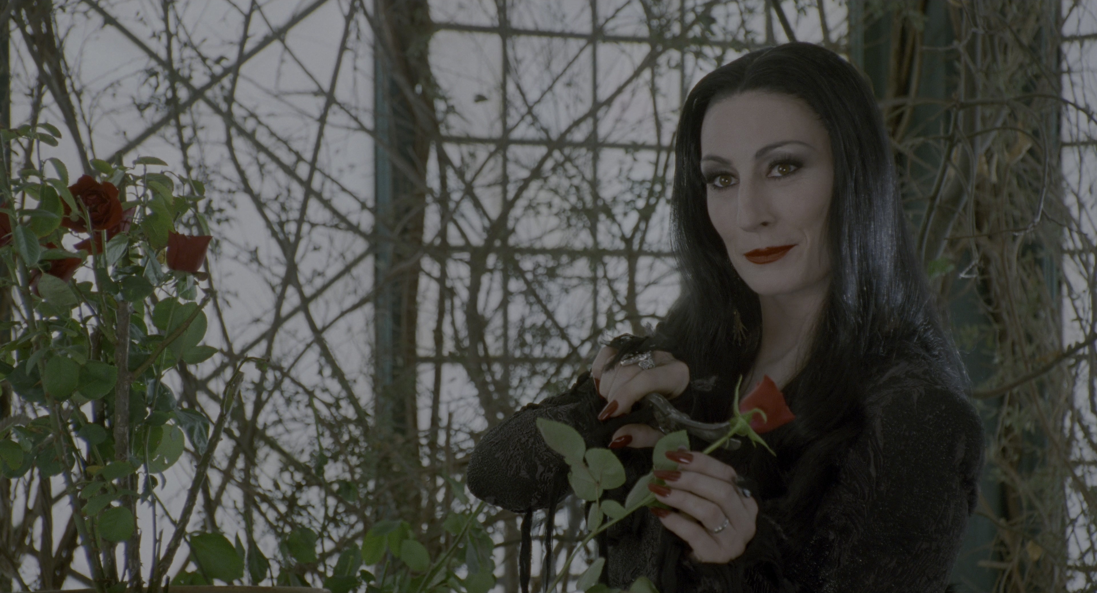 The Addams Family (1991), wide, 1.85:1 — film still