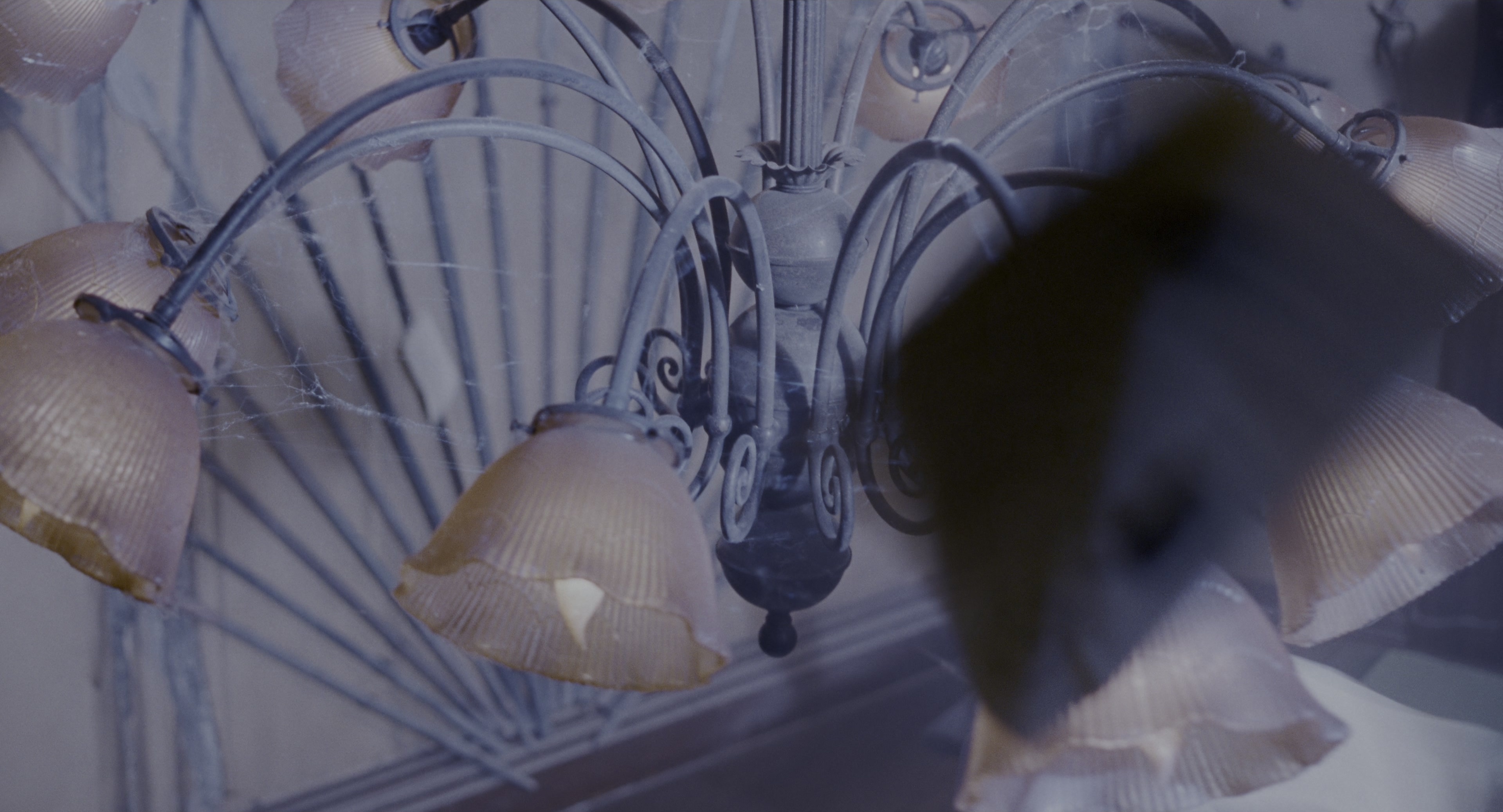 The Addams Family (1991), wide, 1.85:1 — film still