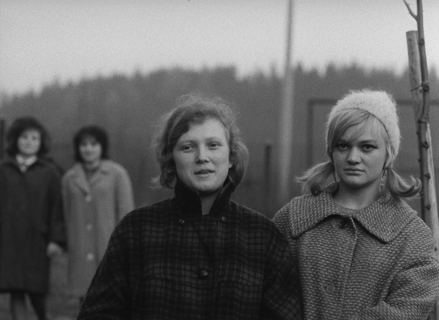 Lásky jedné plavovlásky (1965), wide, 1.37:1 — film still
