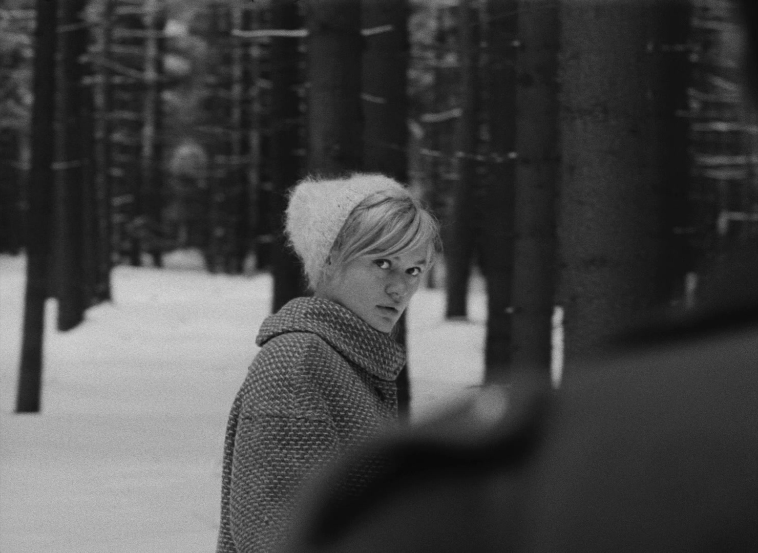 Lásky jedné plavovlásky (1965), wide, 1.37:1 — film still