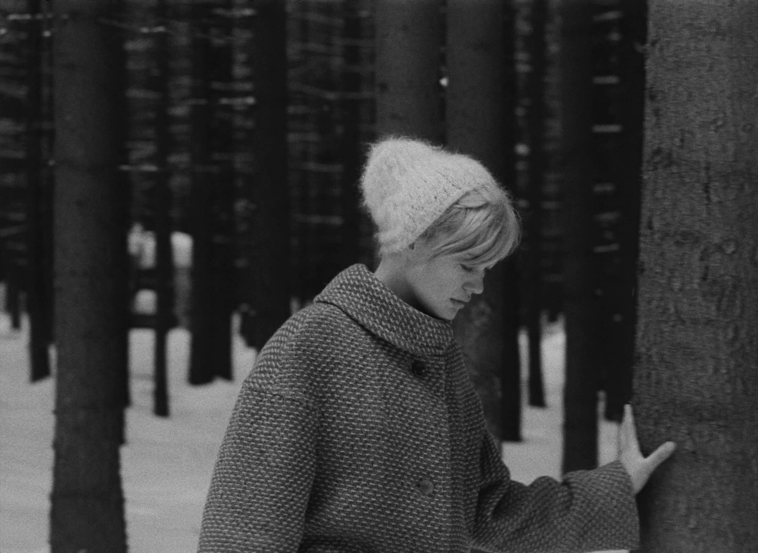 Lásky jedné plavovlásky (1965), wide, 1.37:1 — film still