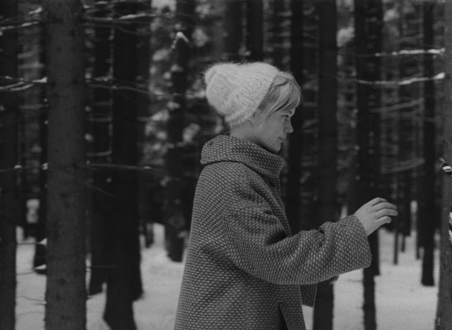 Lásky jedné plavovlásky (1965), wide, 1.37:1 — film still