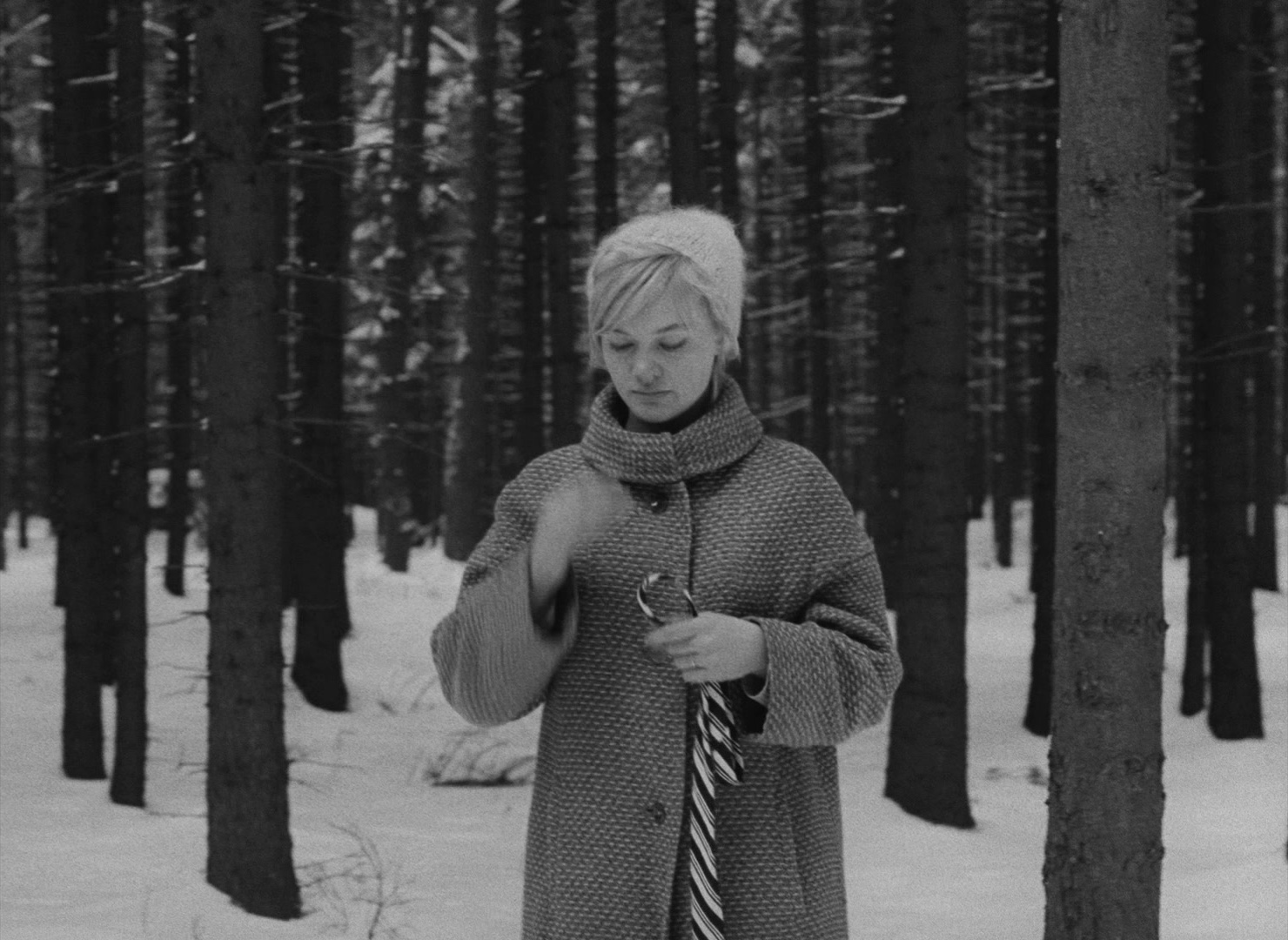 Lásky jedné plavovlásky (1965), wide, 1.37:1 — film still
